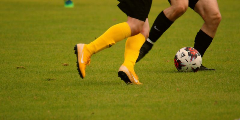 Tỷ lệ kèo tham khảo