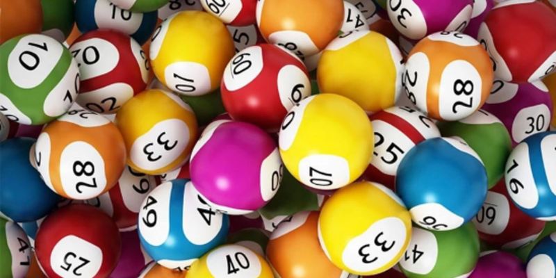 Nuôi lô tiếp sức